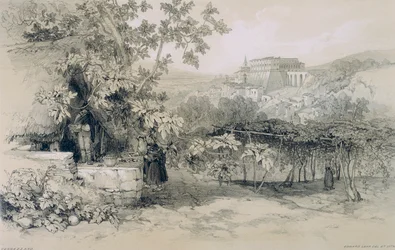 Ansichten von Rom und seiner Umgebung: Blick auf Gennazzano mit der Stadt und dem Palast von Colonna